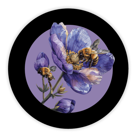 Elegante Elena – Etichetta capsula 125g