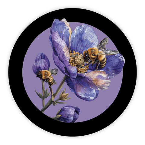 Elegante Elena – Etichetta capsula 250g