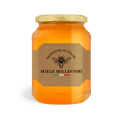 Carta patinata e polipropilene