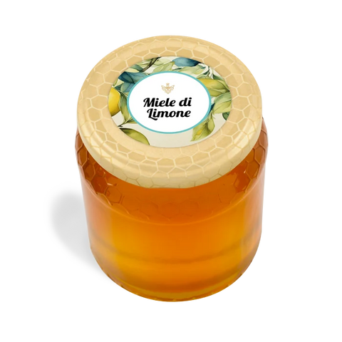 Carta patinata e polipropilene