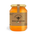 Carta patinata e polipropilene