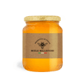 Carta patinata e polipropilene