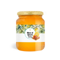 Carta patinata e polipropilene
