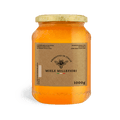 Carta patinata e polipropilene