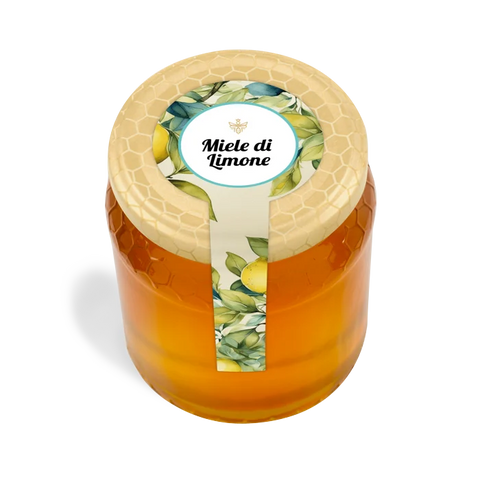 Carta patinata e polipropilene
